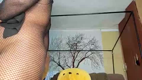 beencee2 online show from February 2026 04:05:02 AM