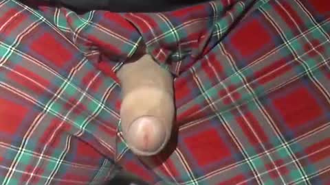  Reservoir Dogs online show from October 2025 10:05:02 AM