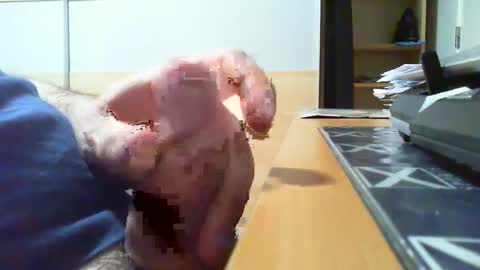 Snapshot of belgianfatcock chatting on April 2026 09:15:02 PM belgianfatcock online show from April 2026 09:15:02 PM