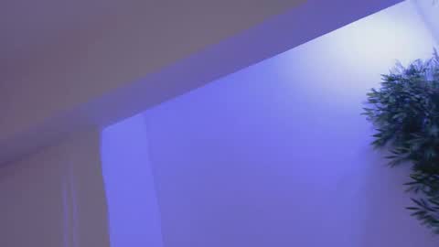 Bella online show from February 2026 08:49:01 PM