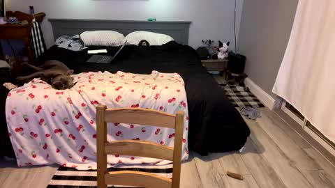 Snapshot of bellabeanz chatting on March 2025 04:00:02 PM Roxy Rain online show from March 2025 04:00:02 PM