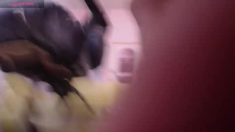 Bella online show from March 2026 01:00:01 PM