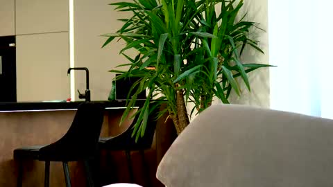 Belle online show from March 2025 07:35:02 AM