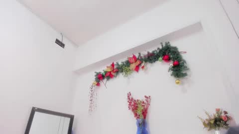 Bellota Flak online show from December 2024 11:13:01 AM