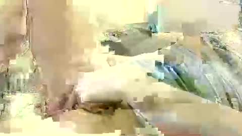 Benutzmich0800 online show from December 2024 11:19:01 PM