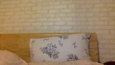 Snapshot of bermudatriangle12 chatting on February 2025 12:52:02 AM tixxie online show from February 2025 12:52:02 AM