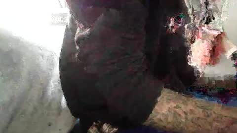 ToxicPipe757 online show from November 2025 03:55:02 PM