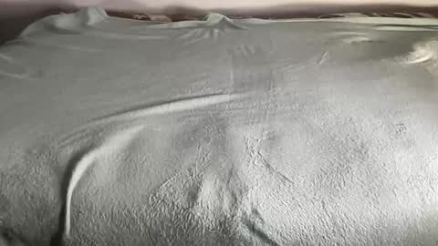 Snapshot of bestdick1991 chatting on January 2026 05:40:01 PM BEST online show from January 2026 05:40:01 PM