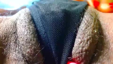 Bethany Wilson online show from December 2025 02:12:02 PM