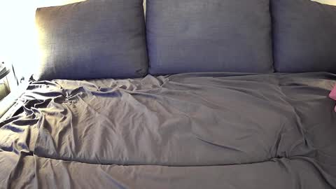 Snapshot of bfox254 chatting on February 2025 12:19:02 AM Brian Fox online show from February 2025 12:19:02 AM