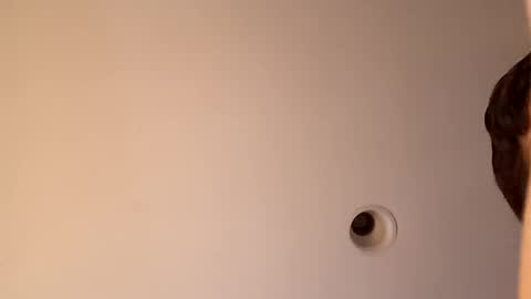 bgiamba21 online show from October 2025 03:40:01 AM