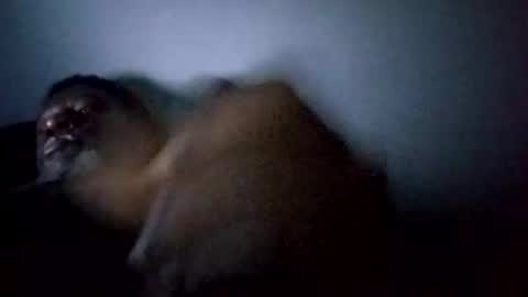 Snapshot of bi582945 chatting on February 2026 10:34:02 AM bi582945 online show from February 2026 10:34:02 AM