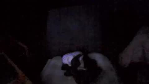 big_davis4 online show from November 2025 12:42:01 PM