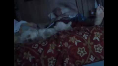 BB online show from October 2025 01:28:02 AM