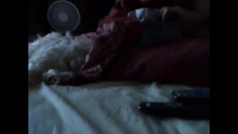 BB online show from March 2026 05:35:02 AM