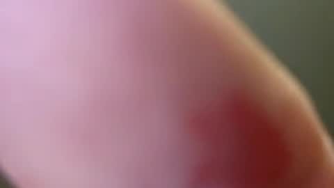 Snapshot of bigbennyflex chatting on July 2026 04:20:01 AM bigbennyflex online show from July 2026 04:20:01 AM