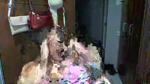 Snapshot of bigboobslyn chatting on January 2026 06:10:02 PM bigboobslyn online show from January 2026 06:10:02 PM