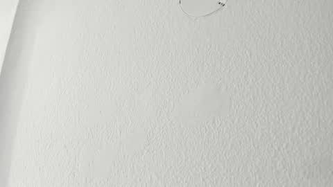 Snapshot of bigboobsnaughty1 chatting on March 2026 09:56:02 AM online show from March 2026 09:56:02 AM