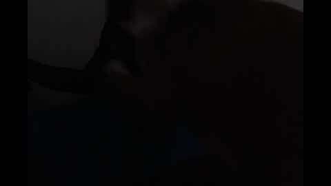 Bryson online show from April 2026 06:10:01 PM