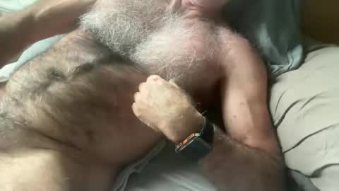 Snapshot of bigbush1 chatting on January 2025 05:32:01 AM big bush online show from January 2025 05:32:01 AM