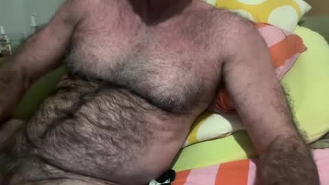 big bush online show from July 2026 08:52:01 AM