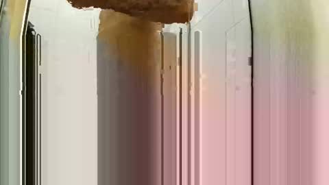 bigdick31589 online show from May 2026 06:25:01 PM