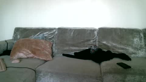 Snapshot of bigdickjimmywill chatting on February 2025 05:39:02 PM CAJEinc online show from February 2025 05:39:02 PM