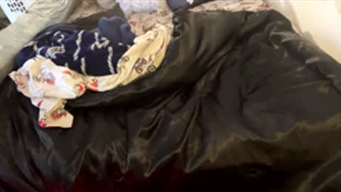 Snapshot of bigdickpapishampoo chatting on February 2026 06:44:02 PM bigdickpapishampoo online show from February 2026 06:44:02 PM