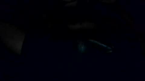 bigdickslim904 online show from July 2026 03:04:01 AM