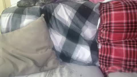 bigdicktrannynicole online show from January 2025 12:56:01 PM