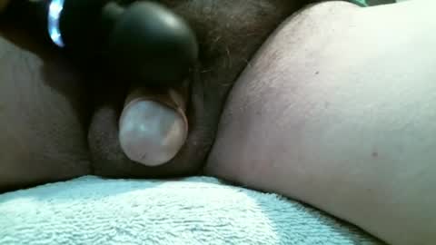BigDog online show from June 2026 03:13:02 PM