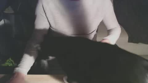 BigDutchEnergy online show from February 2026 11:06:01 PM