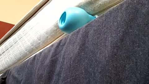 biggdaddyy5 online show from January 2025 02:05:01 PM