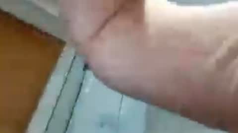 biggllh online show from July 2026 02:01:01 PM
