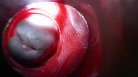 Snapshot of bigmoneycorey chatting on March 2026 03:50:01 PM bigmoneycorey online show from March 2026 03:50:01 PM