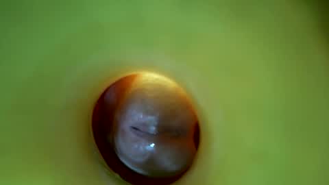 Snapshot of bigmoneycorey chatting on March 2026 06:56:01 PM bigmoneycorey online show from March 2026 06:56:01 PM