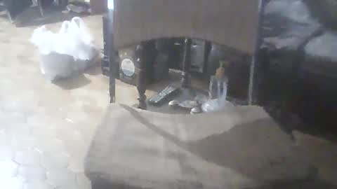 bigpenix online show from February 2026 11:52:02 PM