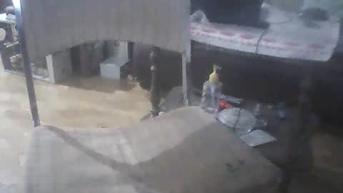 bigpenix online show from April 2026 12:08:01 AM