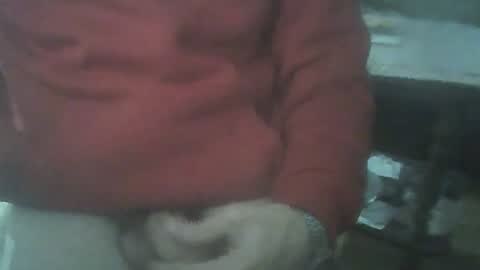 bigpenix online show from July 2026 04:41:01 AM
