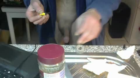 ...... online show from January 2025 02:37:02 AM