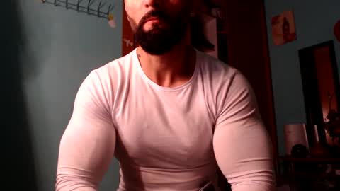 BigStallion online show from December 2024 11:56:02 PM