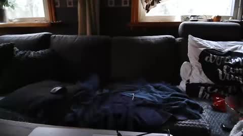 bigswe1 online show from December 2024 08:20:02 AM