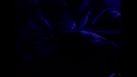 bigtgs online show from February 2025 06:37:02 PM