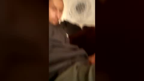 DeePee online show from June 2026 10:28:02 AM