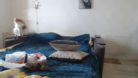 BigTwinsOmg online show from February 2026 07:39:02 AM