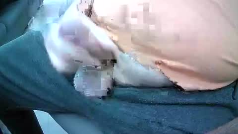 Snapshot of bikeman17 chatting on October 2025 08:45:02 AM bikeman17 online show from October 2025 08:45:02 AM