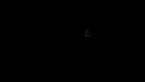 bill_1239 online show from June 2026 03:42:02 AM