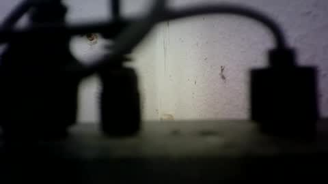 Bisex244 online show from June 2026 09:23:02 AM