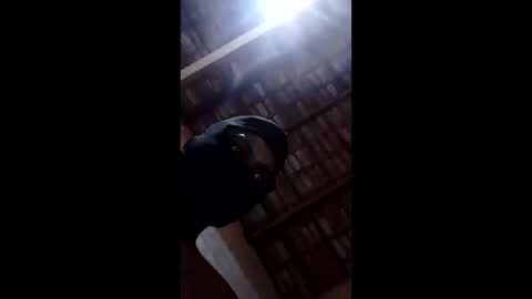 bittencourtgabriel online show from April 2026 03:09:02 AM