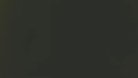 Snapshot of bixbi65 chatting on December 2024 03:15:01 AM Bill online show from December 2024 03:15:01 AM